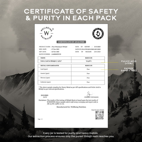 Wellbeing Nutrition Shilajit Silver 10gms