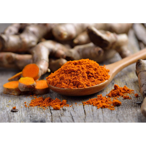 Aquasol Turmeric Rhizome Tea 20g
