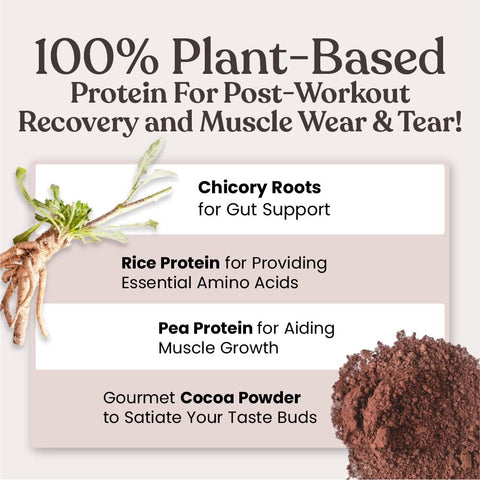 Kapiva Vegan Protein Post Workout Recovery Shake, Chocolate, 1 KG