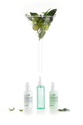 MEDI-PEEL Dutch Tea Mattifying Mist 100ml